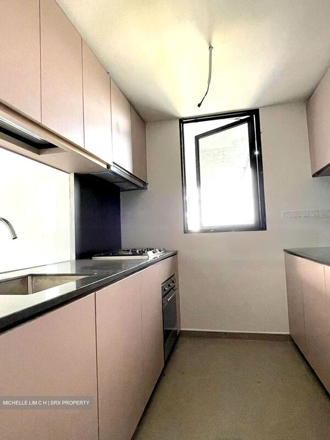 Kopar At Newton (D9), Apartment #474083891